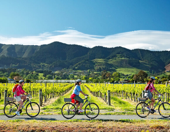 Bicycle tours 15 Days